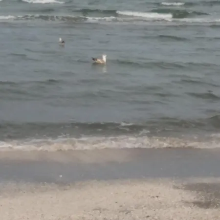 On The Beach Mamaia *